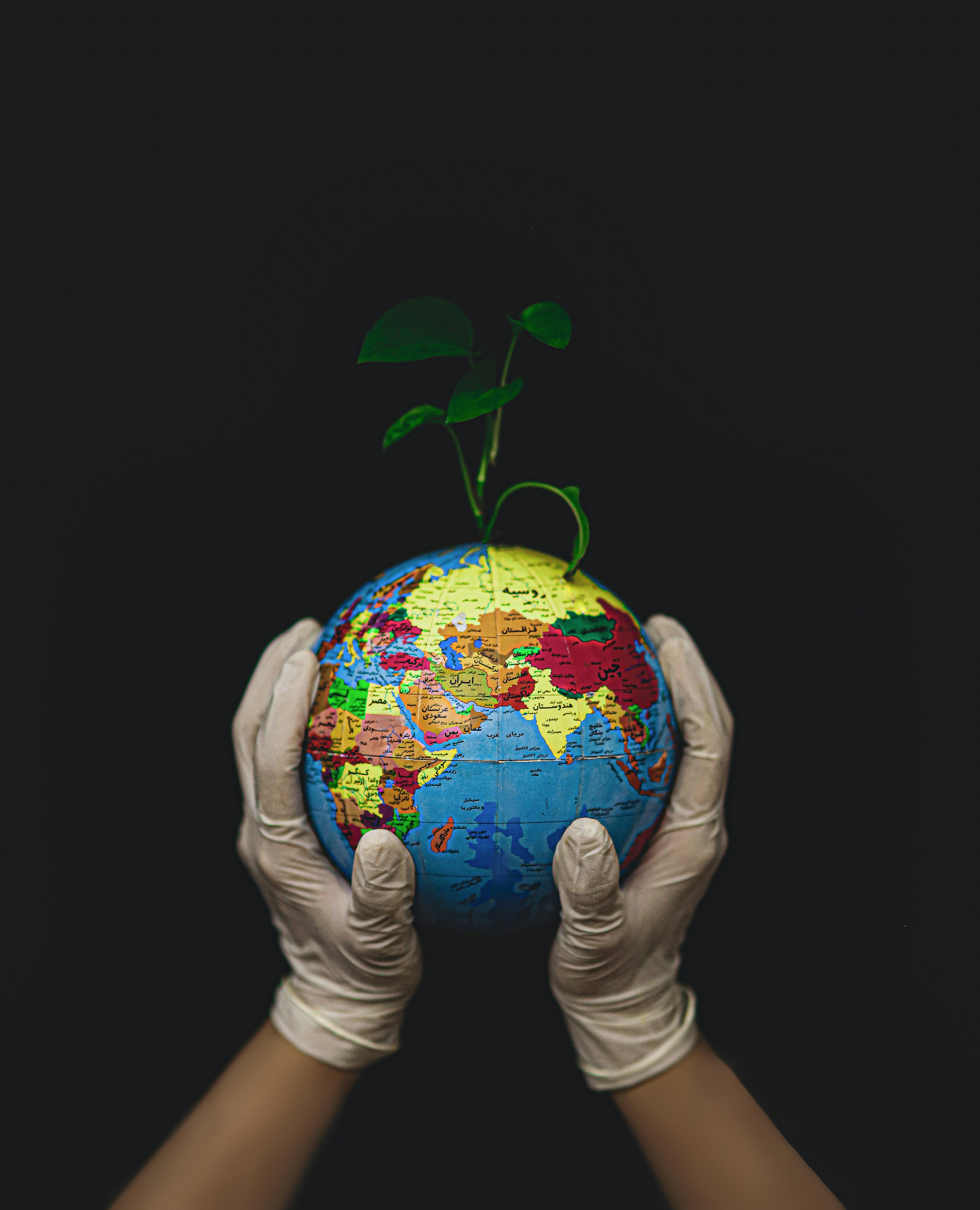 Sustainable Digital Marketing Practices for Earth Day and Beyond