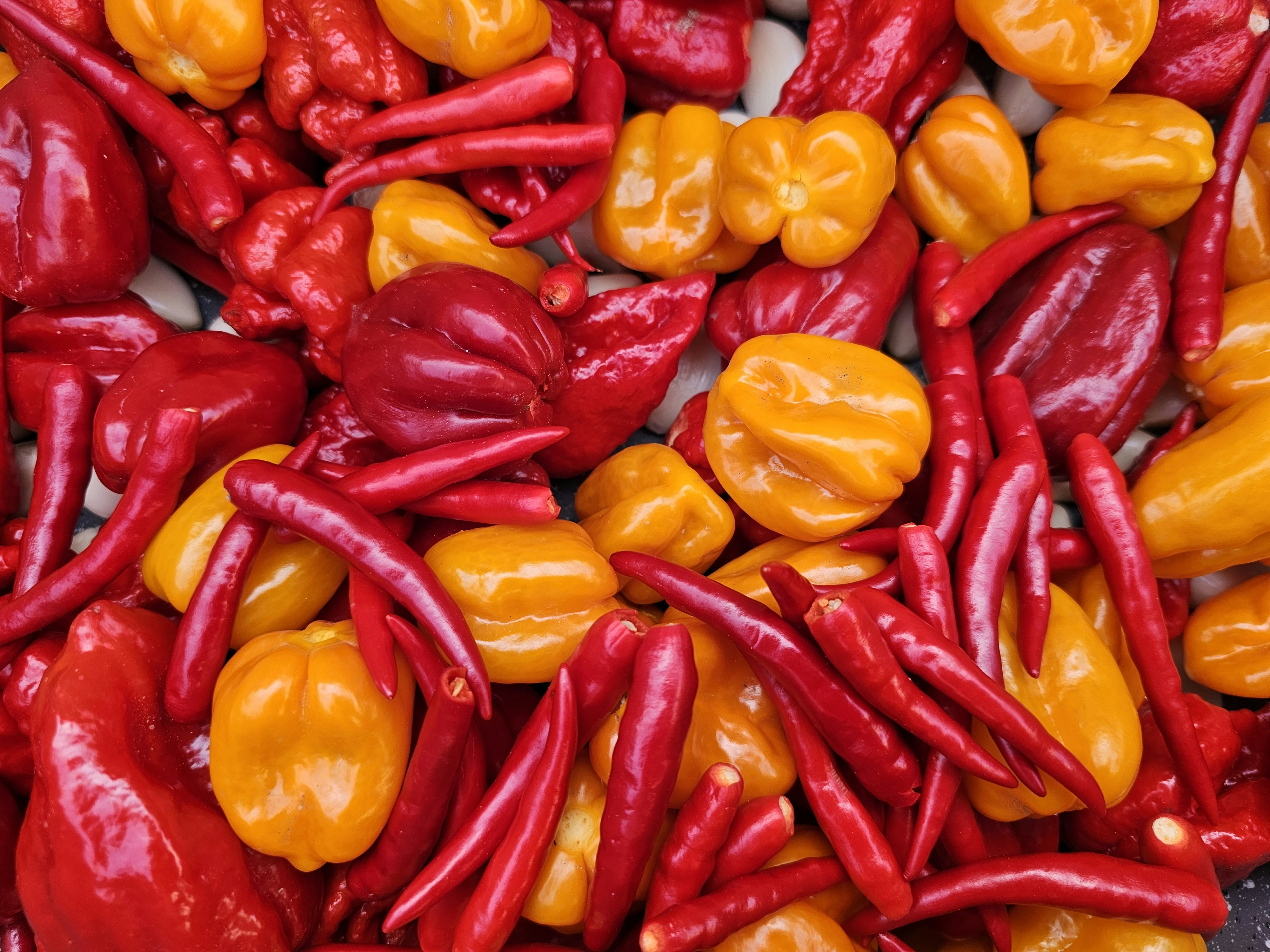 Spice Up Your Strategy: What Cinco de Mayo Can Teach Us About Bold Marketing