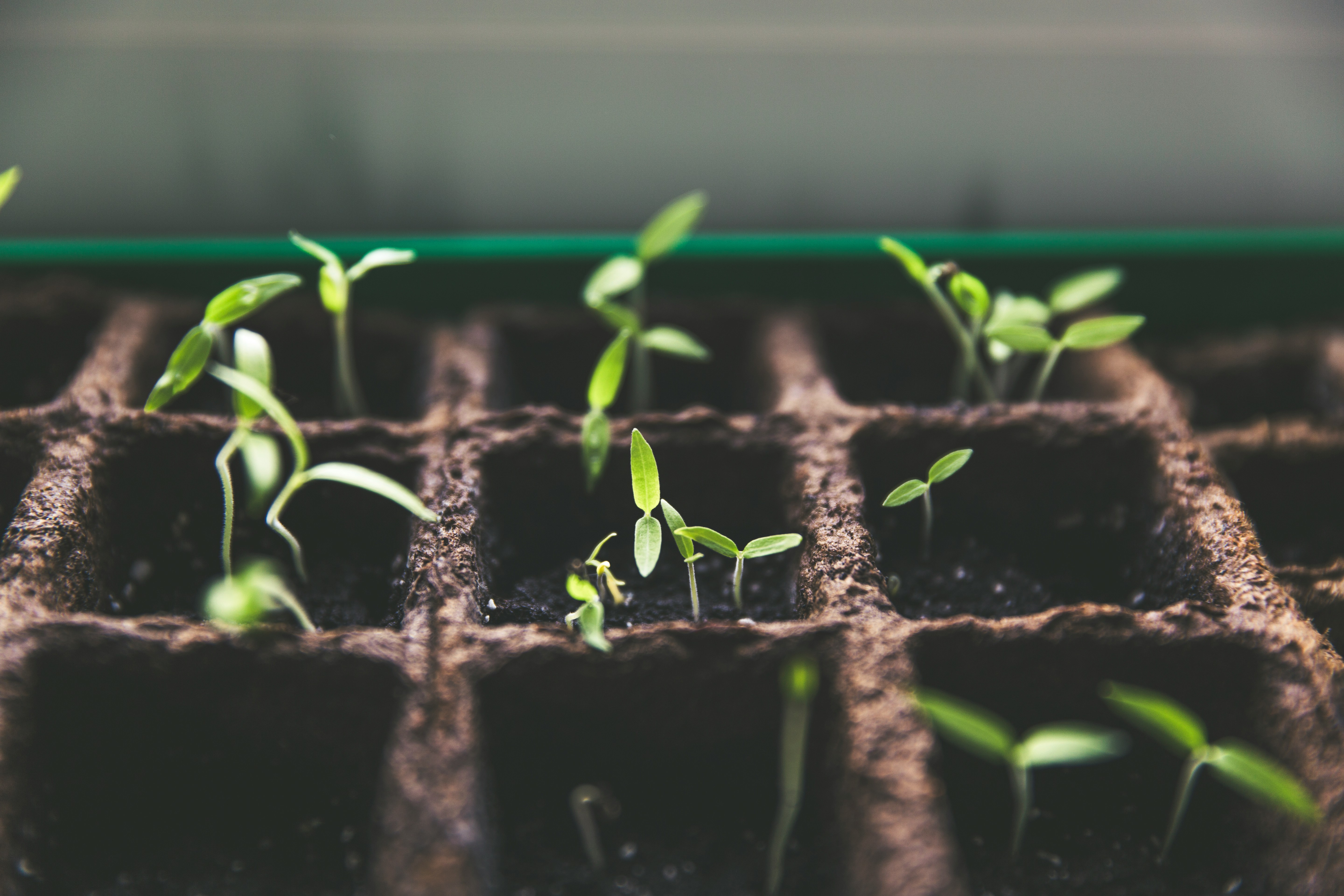 Growth Unlocked: The Moment You Decide to Move Forward